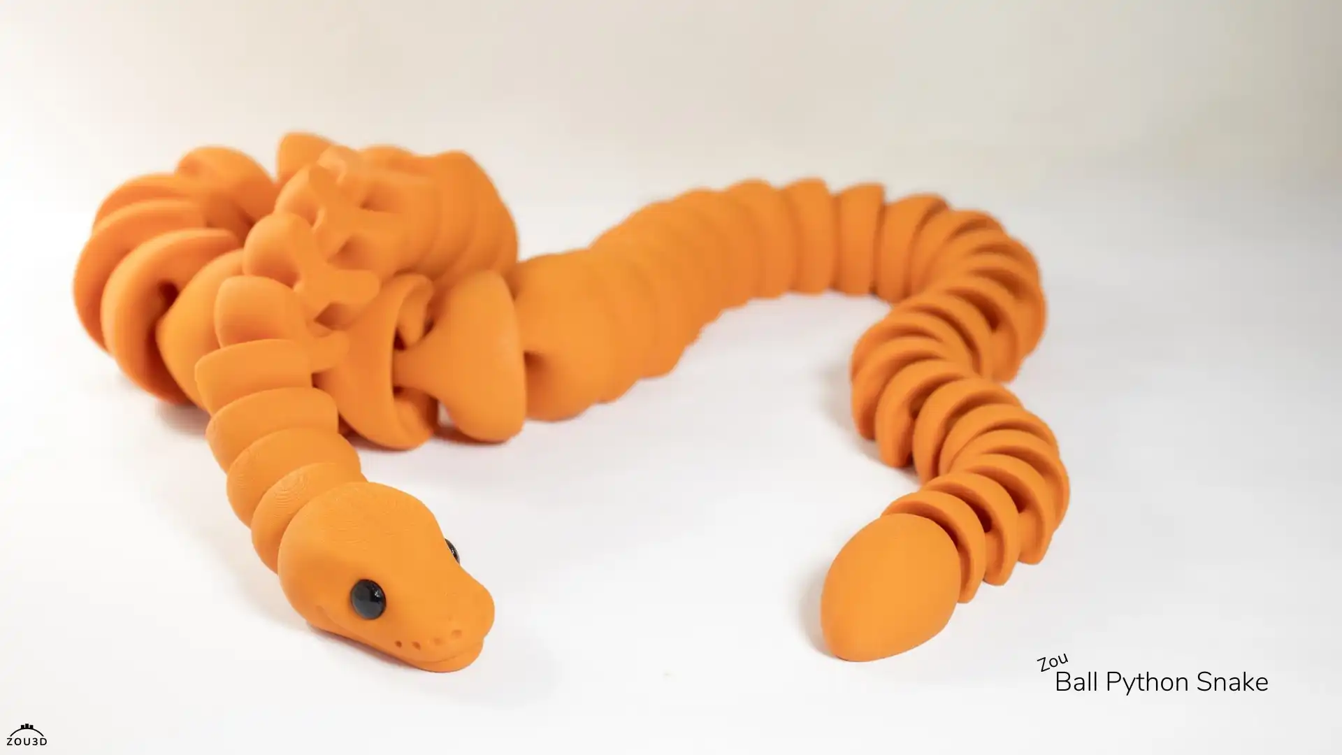 104_Zou_Ball_Python_Snake_1