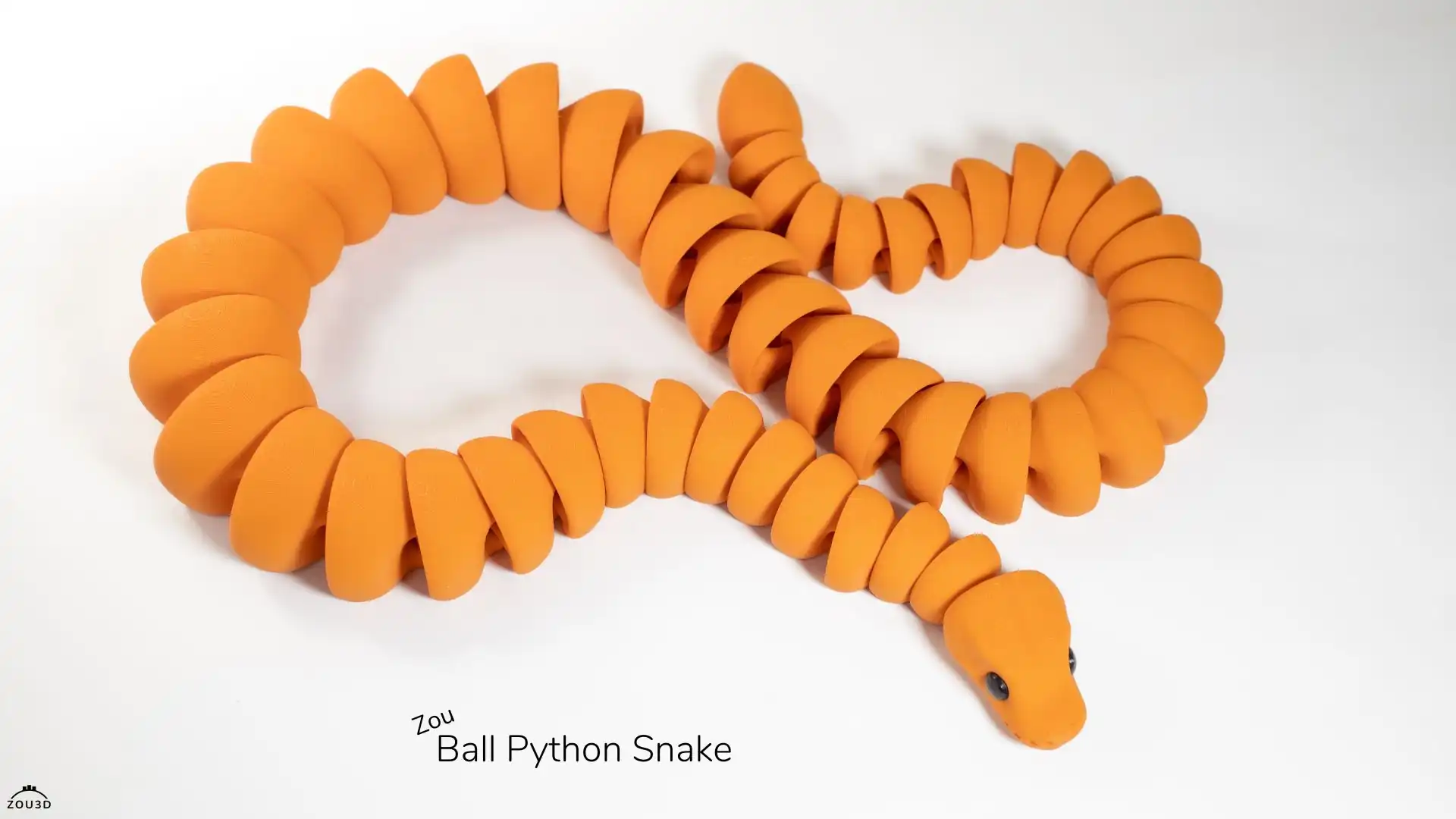 104_Zou_Ball_Python_Snake_2