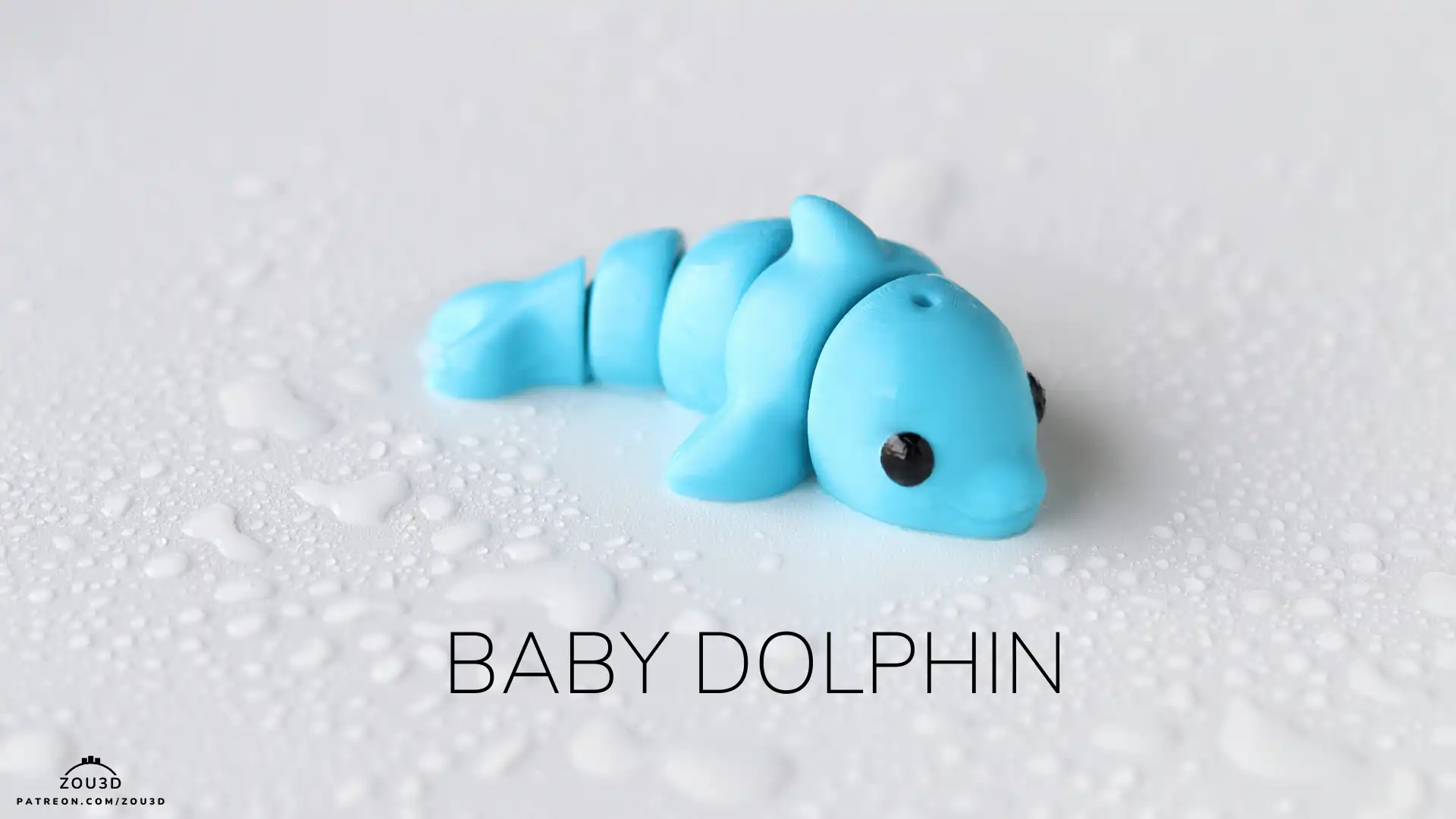 33_Baby_Dolphin_1