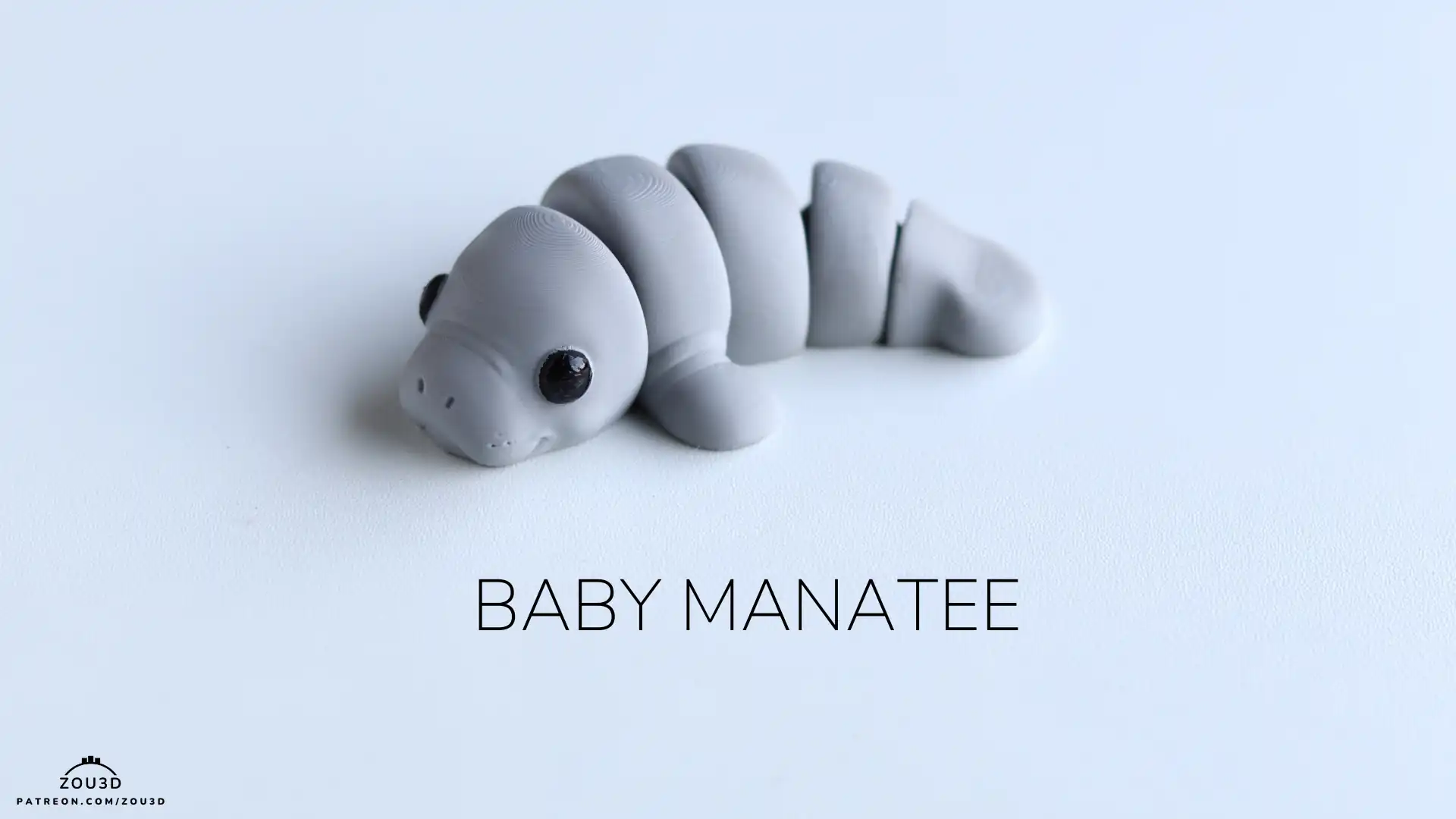 34_Baby_Manatee_1