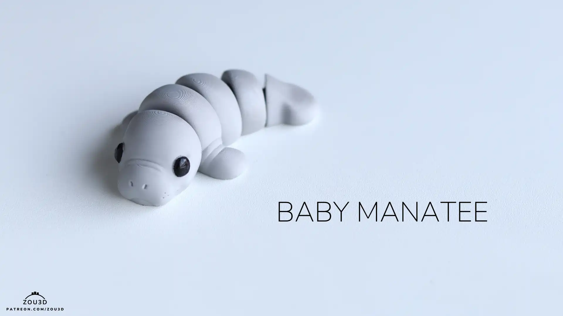 34_Baby_Manatee_2