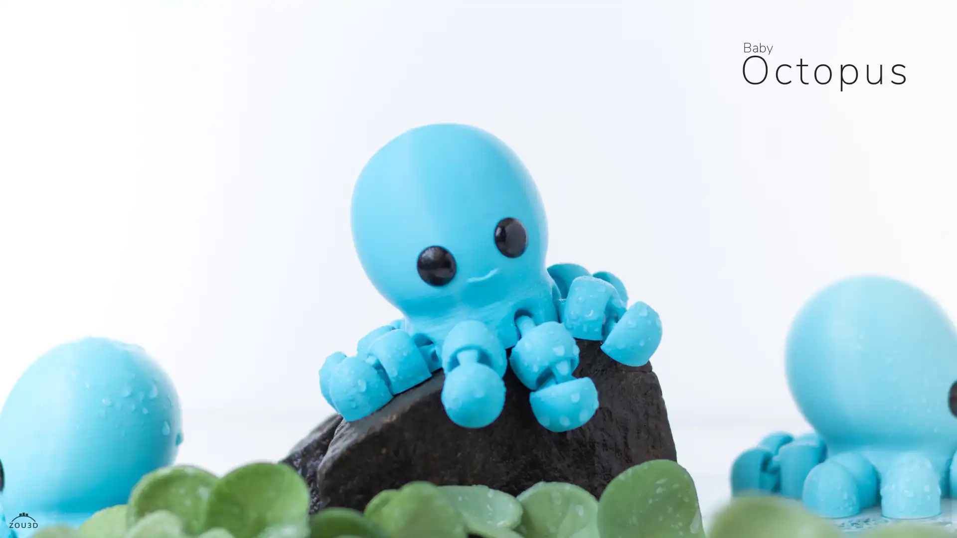 41_Baby_Octopus_2