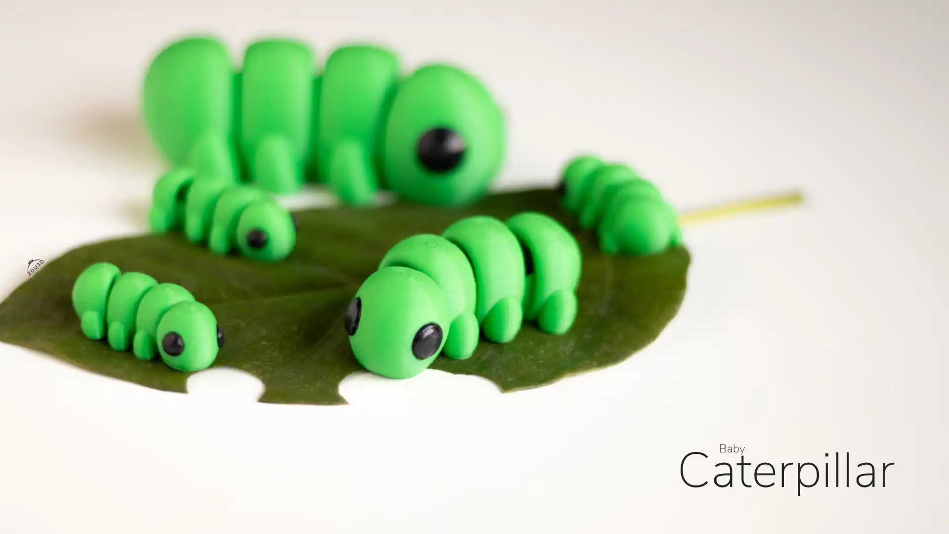 43_Baby_Caterpillar_4