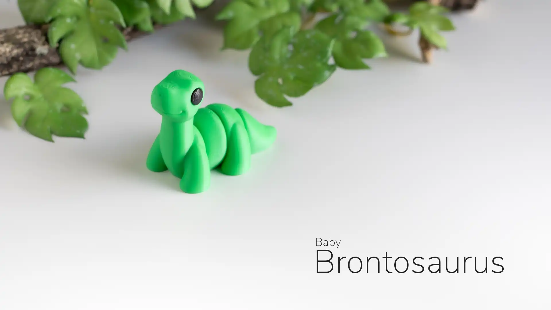 45_Baby_Brontosaurus_1