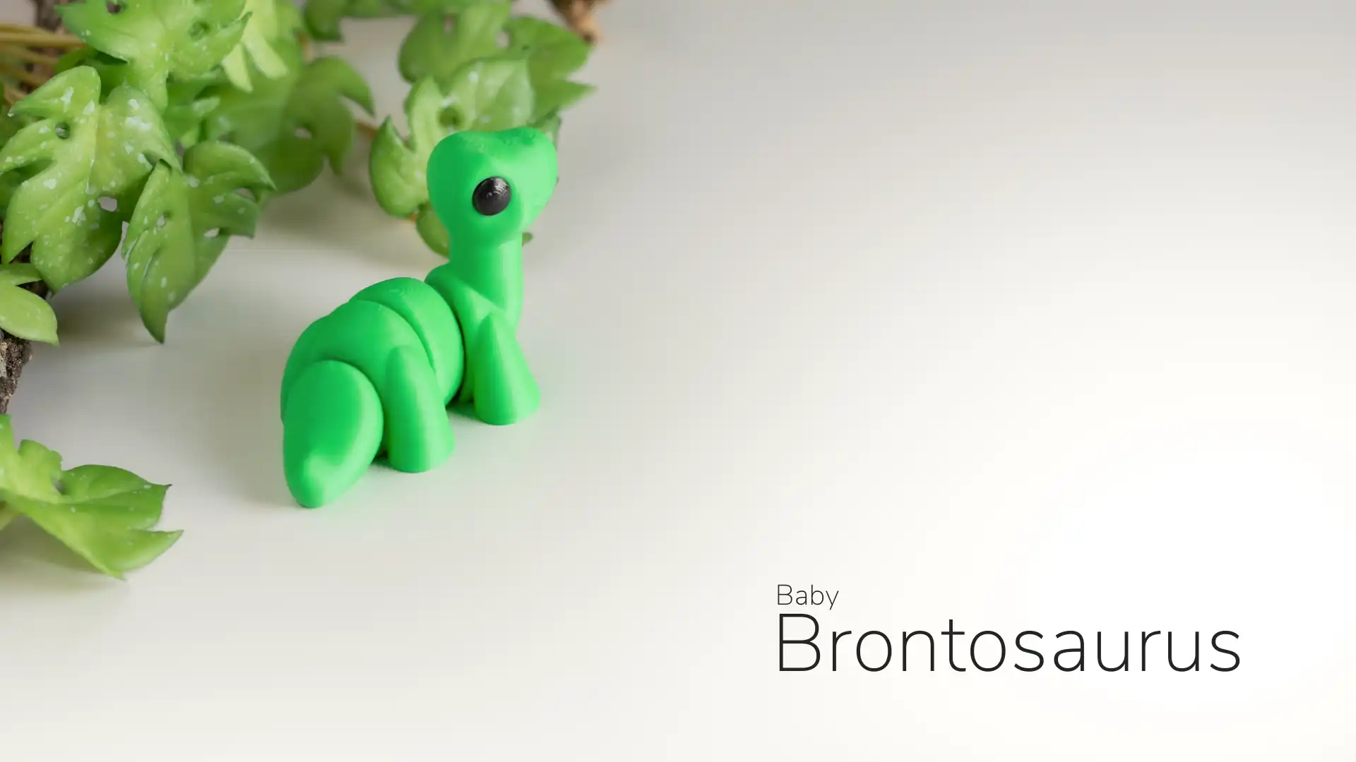 45_Baby_Brontosaurus_2