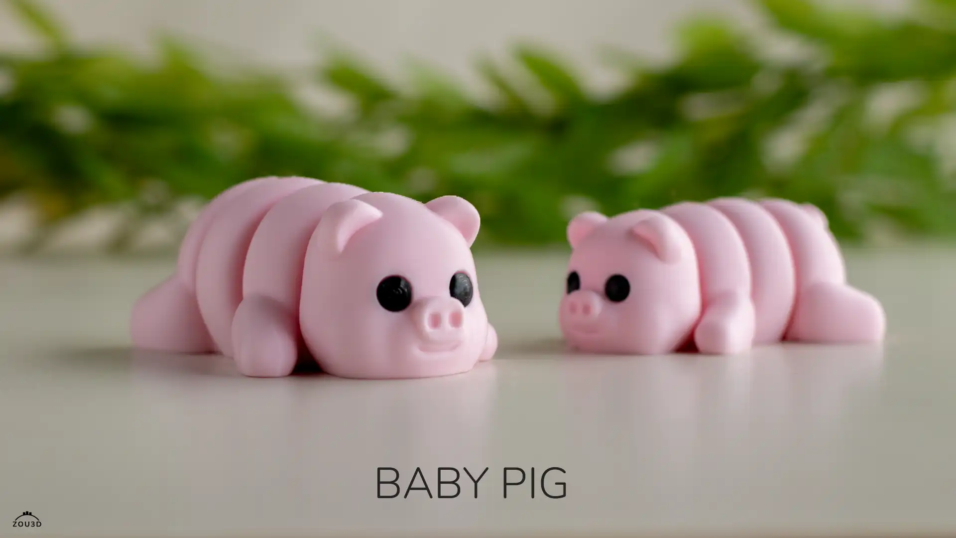 48_Baby_Pig_1