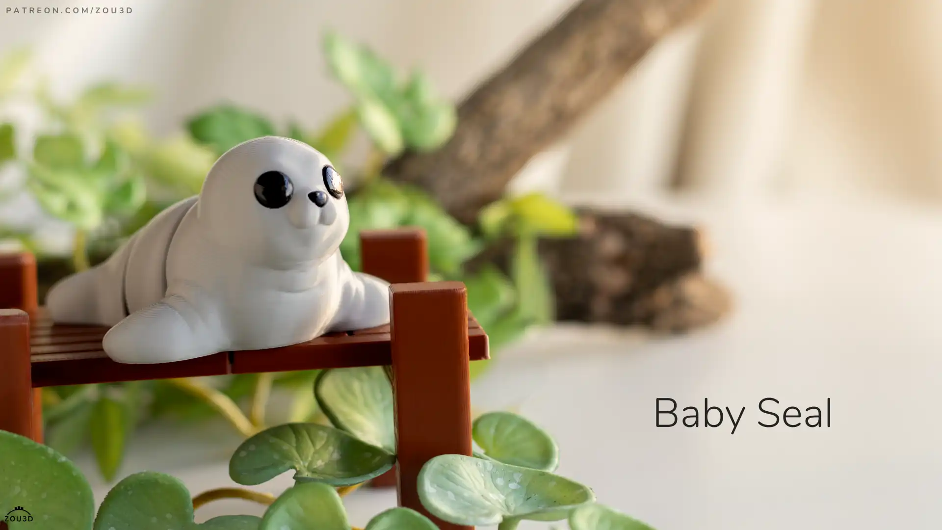 51_Baby_Seal_4