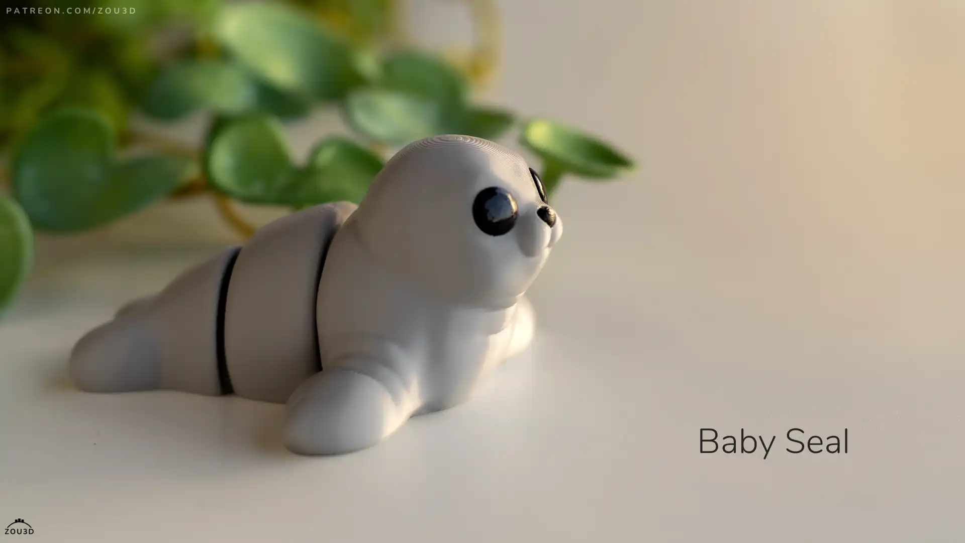 51_Baby_Seal_5