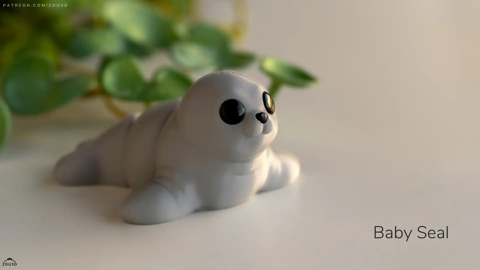 51_Baby_Seal_6