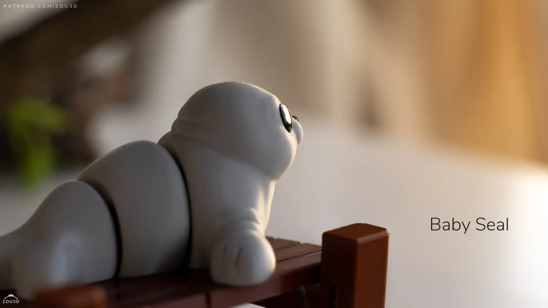 51_Baby_Seal_7