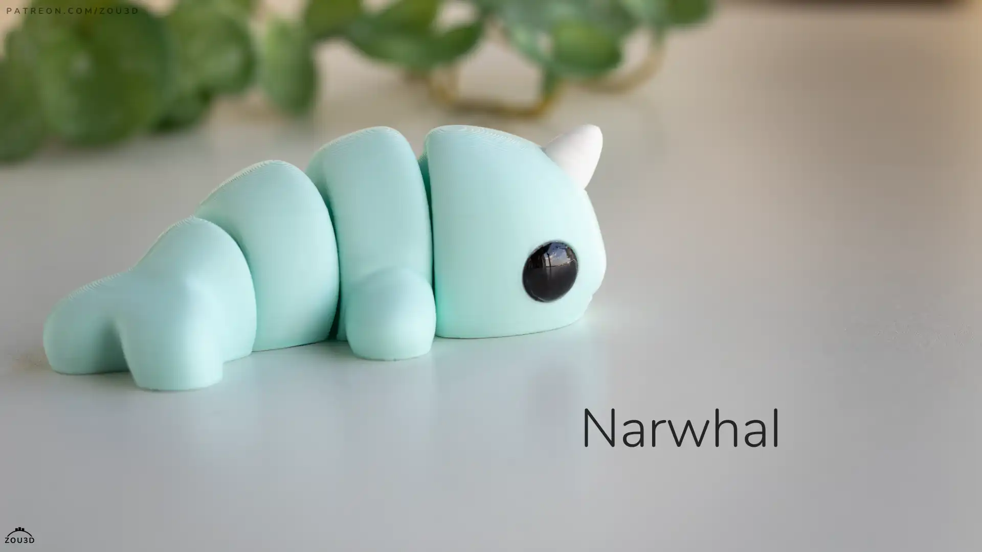 58_Baby_Narwhal_3