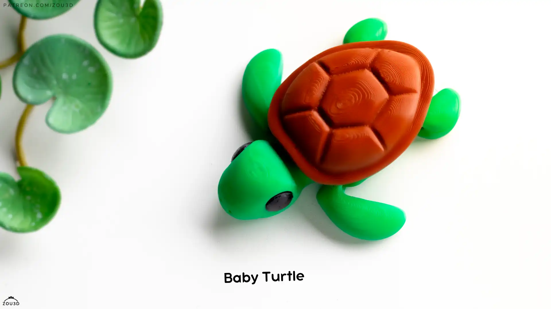 64_Baby_Turtle_1
